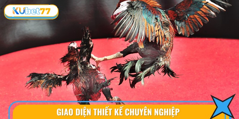 Điểm Mạnh Vượt Trội Của Đá Gà Campuchia