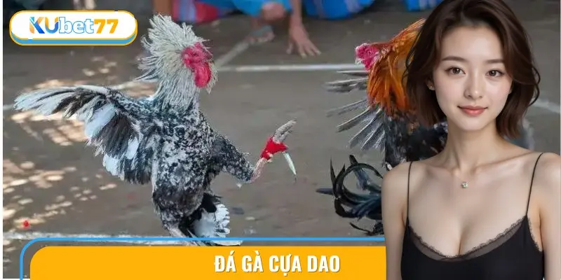 da ga cua dao